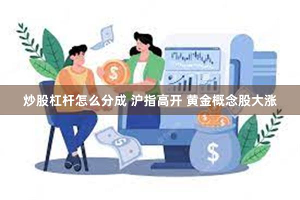 炒股杠杆怎么分成 沪指高开 黄金概念股大涨