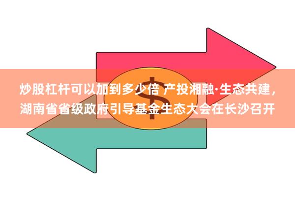 炒股杠杆可以加到多少倍 产投湘融·生态共建，湖南省省级政府引导基金生态大会在长沙召开