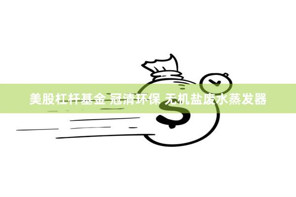 美股杠杆基金 冠清环保 无机盐废水蒸发器