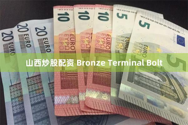 山西炒股配资 Bronze Terminal Bolt