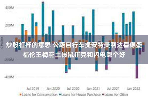 炒股杠杆的意思 公路自行车捷安特美利达喜德盛福伦王梅花土拨鼠崔克和闪电哪个好