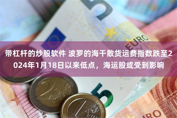 带杠杆的炒股软件 波罗的海干散货运费指数跌至2024年1月18日以来低点，海运股或受到影响