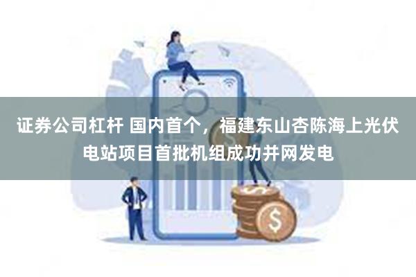 证券公司杠杆 国内首个，福建东山杏陈海上光伏电站项目首批机组成功并网发电