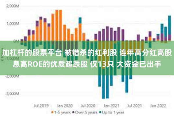 加杠杆的股票平台 被错杀的红利股 连年高分红高股息高ROE的优质超跌股 仅13只 大资金已出手